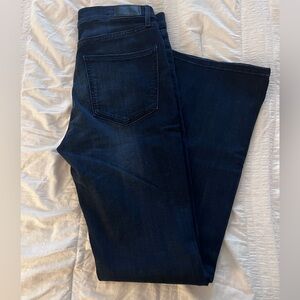 Express Midnight Blue Jeans
